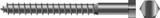 SEACHOICE RP-MP1270SC 5/16 X 2 LAG SCREW 2/BG