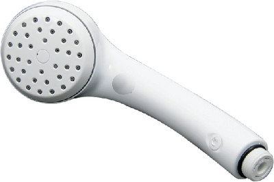 VALTERRA PF276042 AIRFUSION HHELD SHWR WHITE