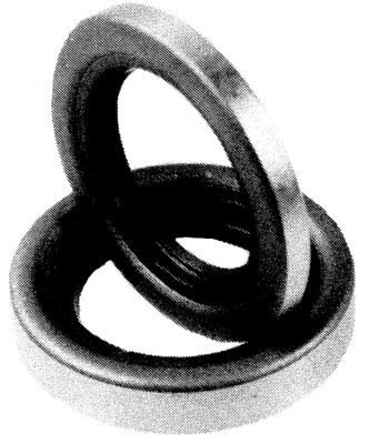 DUTTON-LAINSON 21796 6420 SEAL, FITS 1" SPINDLE