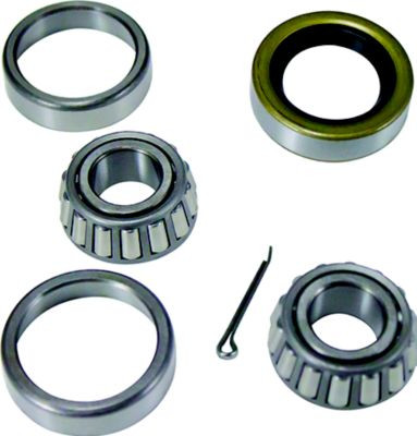 DUTTON-LAINSON 21794 6202 BEARING SET W/PROTECTOR
