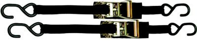 BOATBUCKLE F14209 1INX3FT RATCHET TIE-DOWN PR/PK