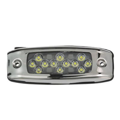 SC50-03611 WATR DRAGON W/SS 12LED WHITE