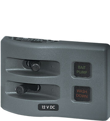 BLUE SEA SYSTEMS 4302-BSS PANEL WD 12V FUSED 2 POS GRAY