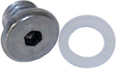 SIERRA 18-4255 E-TEC DRAIN SCREW