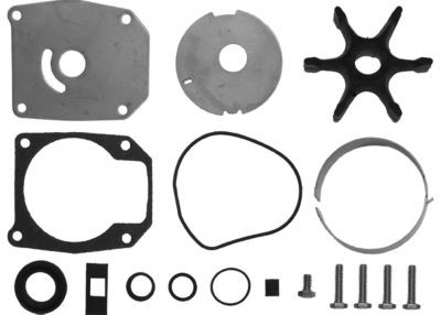 SIERRA 18-3387 432956 E/J WTR PUMPKIT 432955