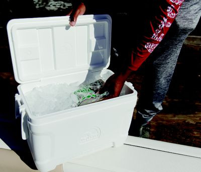 IGLOO COOLERS 00050073 120 QT MAR CNTR WHT