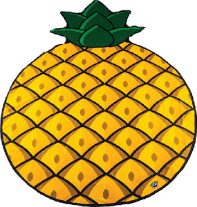 BMBT-PA PINEAPPLE BEACH BLANKET @4