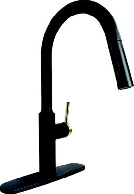 VALTERRA PF231780 PREM SLMLINE 1HDL BK W/GLD HAN