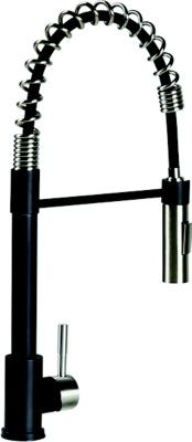 2022109922 COILED PULL-DOWN FAUCET