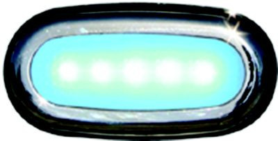 SCANDVIK 41362P 5 LED COURT LIGHT SF SS BLUE