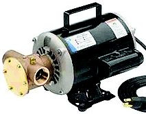 RULE  6050-0003 UTILITY PUMP 115/230 VOLT