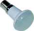 VALTERRA DG726251VP 1383 LED BULB SW EA