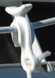 TAYLOR 2020108438 LIFELINE FNDR LINE CLIP 1PR/PK