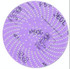 3M 7010029938 SAND DISC 5IN 360L P600 100/BX