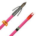 AMS A203-PNK Fiberglass Arrow Chaos 3166-0031