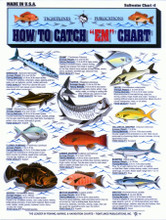 Tightlines 00001 How To Catch Em 1232-0001