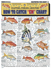 Tightlines 00008 How To Catch Em 1232-0006