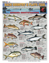 Tightlines 00036 Fish ID Chart #10 1232-0029