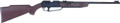 Daisy 880 Powerline BB/Pellet Rifle 0525-0019