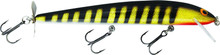 Bagley BLSP5-SBG Bang-O-Lure Balsa 0115-1556