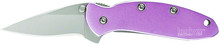 Kershaw 1600PINK Chive Assisted 4057-0027