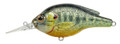 LiveTarget PS70S102 Sunfish 4484-0092