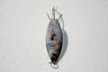 Aqua Dream WSSM 1/4 Live Bait 4664-0042