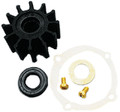 JOHNSON PUMP/MAYFAIR 09-45825 SERVICE KIT FOR PUMP 10242321