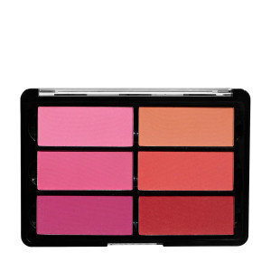 VISEART Blush Palette: 02 Rose-Coral VISEART Blush Palette: 02 Rose-Coral