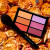 VISEART Blush Palette: 03 Orange-Violet VISEART Blush Palette: 03 Orange-Violet