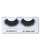 US Route 41 Eyelashes