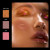 Danessa Myricks Lightwork VI Freedom Palette Danessa Myricks Lightwork VI Freedom Palette