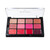 Ben Nye Studio Color Palette - One-For-All Lip (STP-30) Ben Nye Studio Color Palette - One-For-All Lip (STP-30)