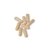 Brain Support Complex Supplement for Drivers (60 Capsules)