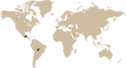 A world map with coffee beans used as markers for locations 