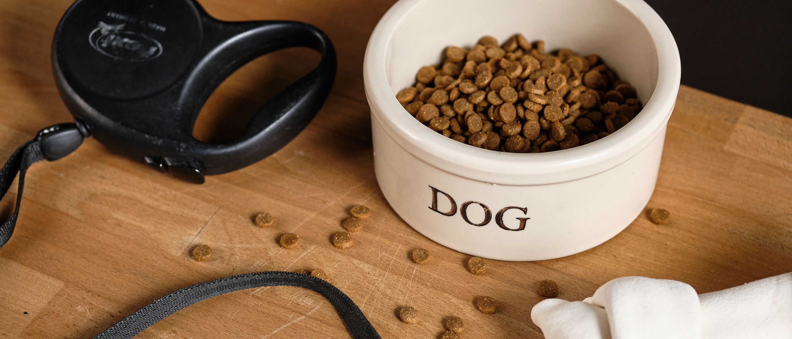 Wave Dog Bowl Pet Feeder Mat - Bluestone