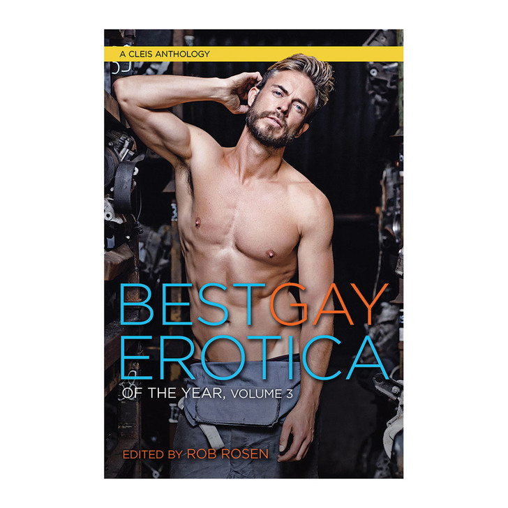 Best Gay Erotica of the Year, Volume 3