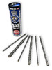 8" 6 piece Bad Dog SDS Hammer Drill Bit Set