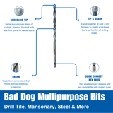 Detailed diagram of Bad Dog multipurpose drill bit features Detailed diagram of Bad Dog multipurpose drill bit features