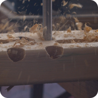 Exceptional Performance