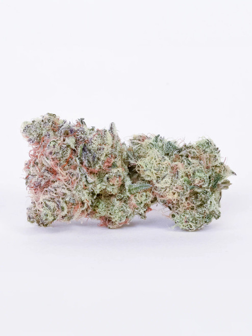 Pure Beauty GMO Cookies THCA flower at Lone Acorn in Raleigh.