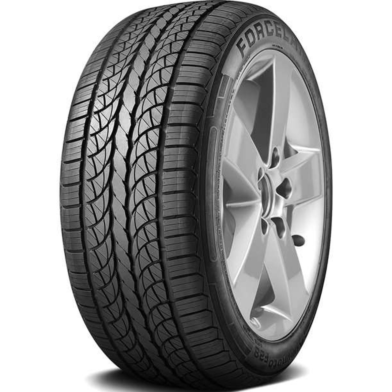 A4等級以上 フォルチェランド・クニモトF 28 305/45 R 22 118 V