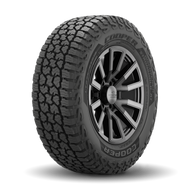 Discoverer Stronghold At