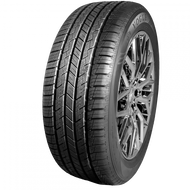 Signature V Black Sct2