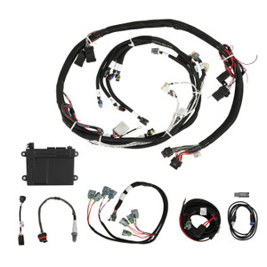 Holley EFI HP EFI ECUHarness Kits | GVMR 550-603