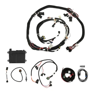 Holley EFI HP EFI ECUHarness Kits | GVMR 550-607N