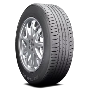 Armstrong Blu-Trac PC 175/55R15 Tires | 1200068362