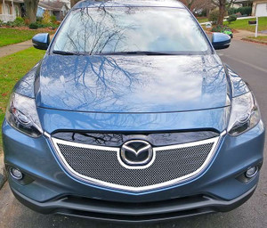 APS Polished Mesh Grille | APS GR13GEI35T
