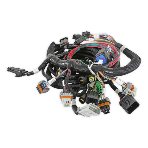 Holley EFI Ford 2V and 4V Modular Main Harness | GVMR 558-108