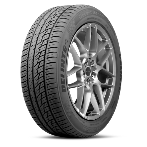 Delinte Ds8 245/30R24 Tires | 841623105389 | 245 30 24 Tire
